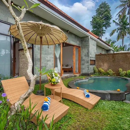 The Alus Cottage And Villa