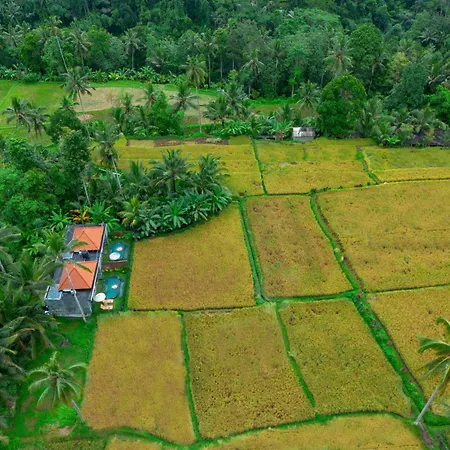 The Alus Cottage And Villa