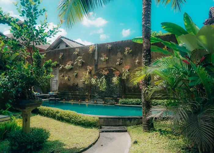 The Alus And Vakantiepark 3*