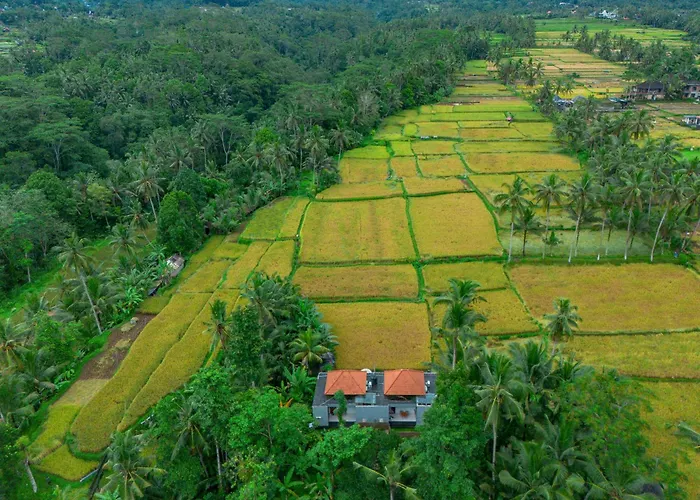 The Alus And Vakantiepark Ubud