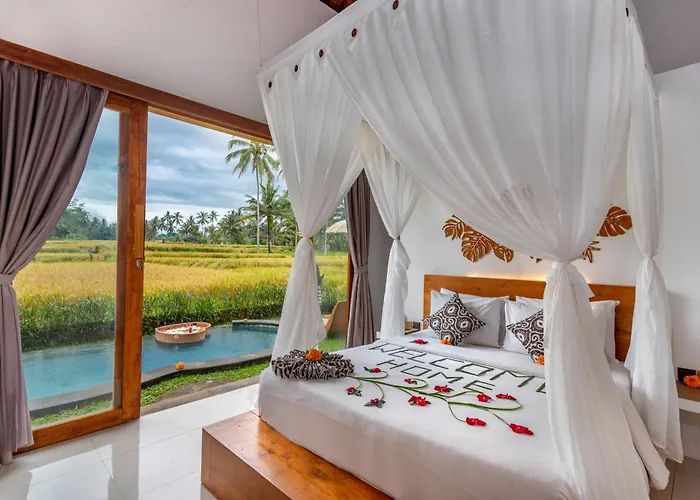 The Alus And Ubud